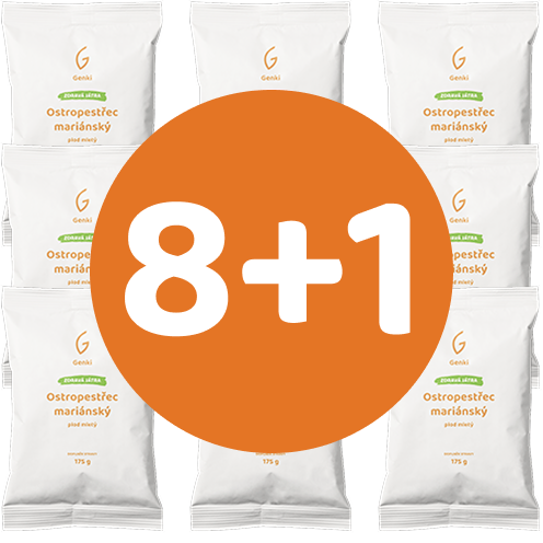 Ostropestřec mariánský