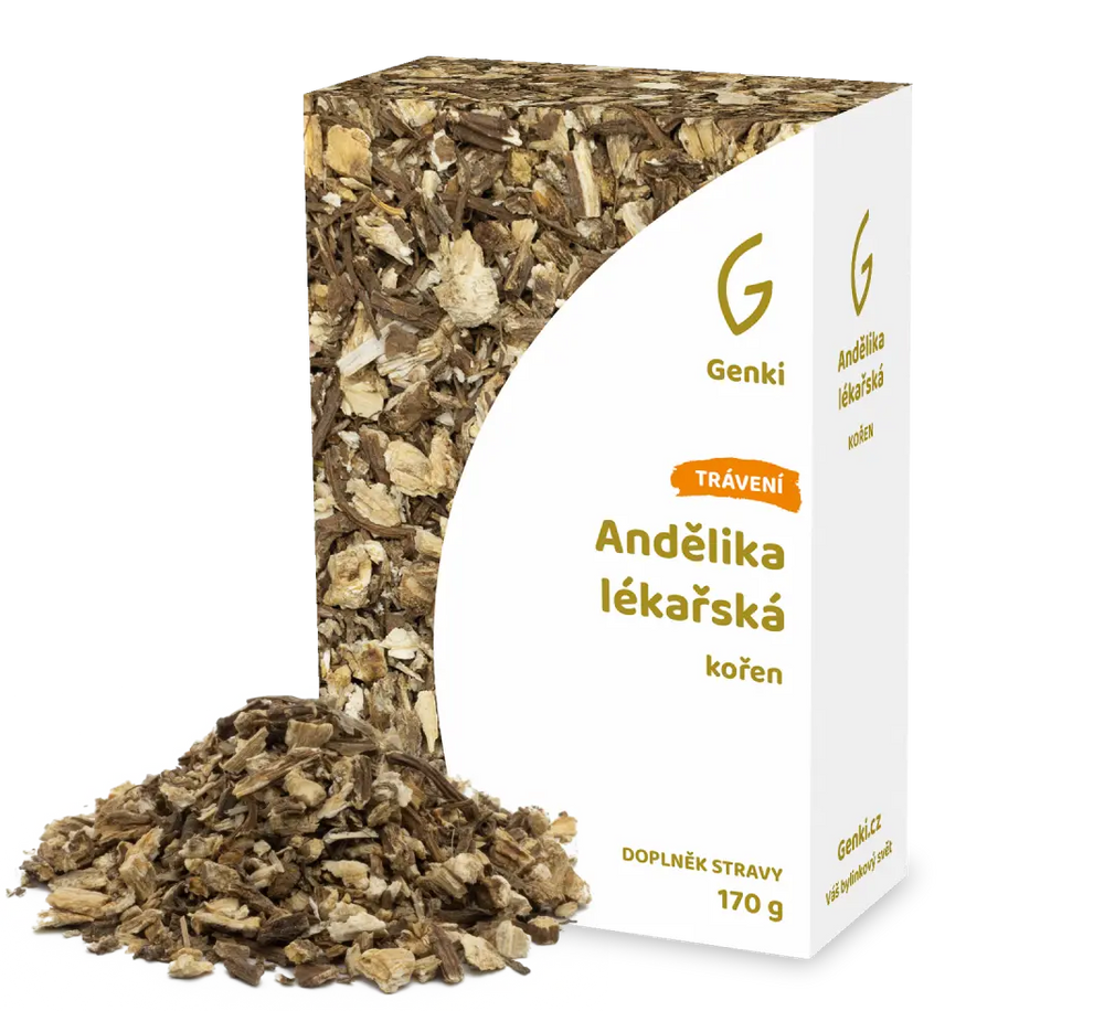 Andělika lékařská - kořen