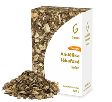 Andělika lékařská - kořen