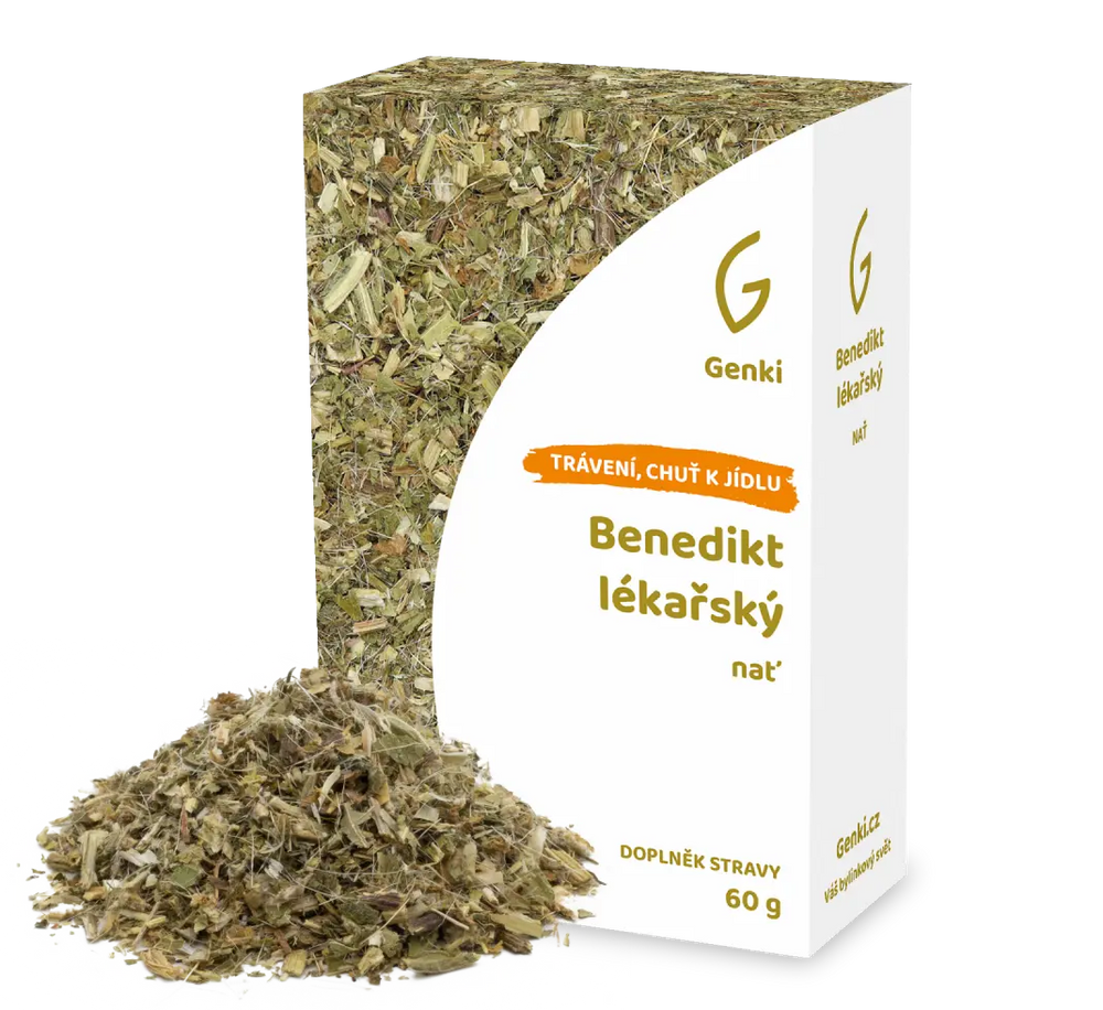 Benedikt lékařský - nať