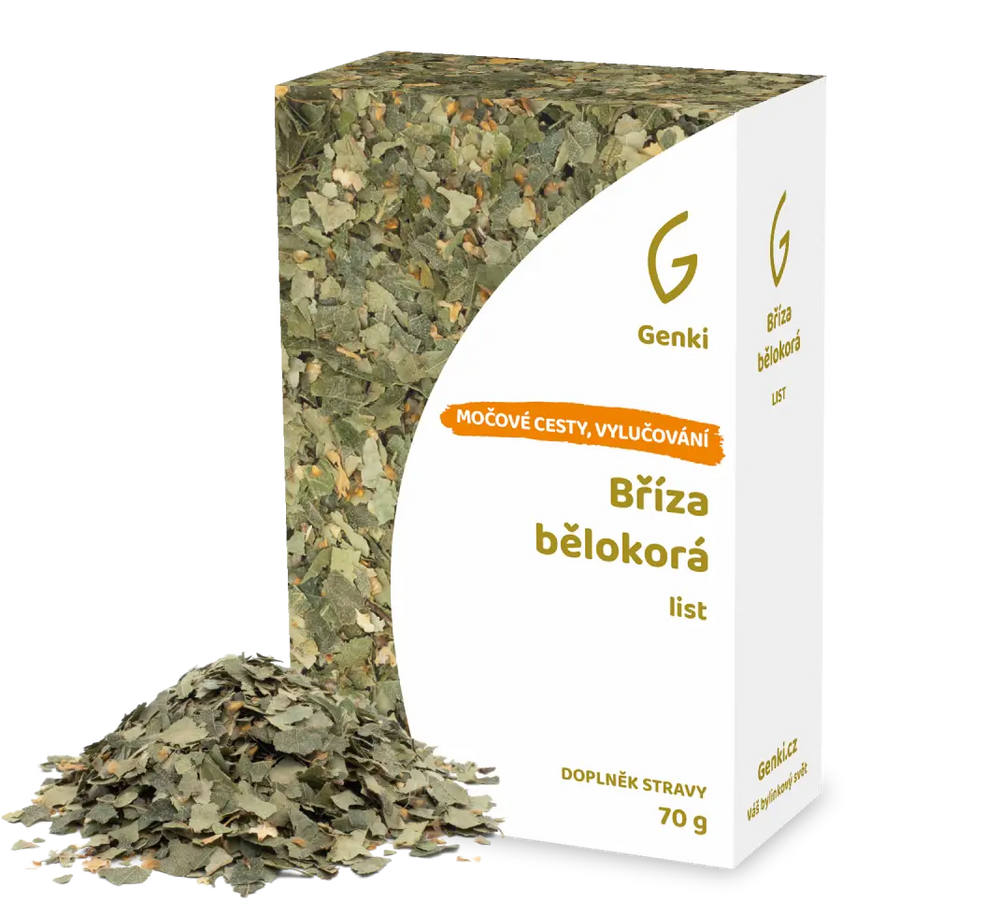 Bříza bělokorá - list