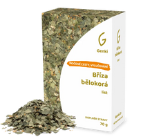 Bříza bělokorá - list