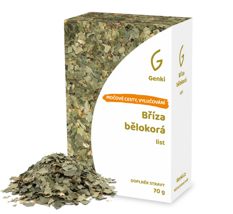 Bříza bělokorá - list