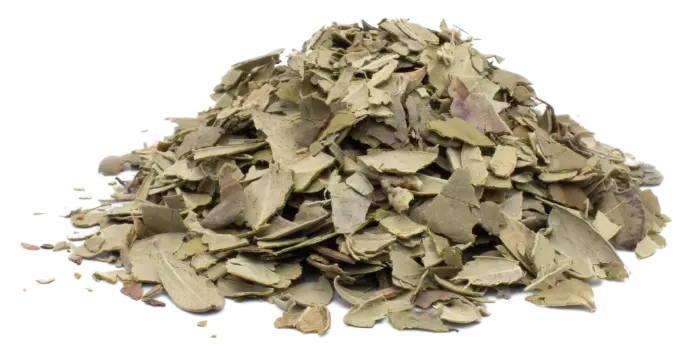 Brusinka obecná - nať