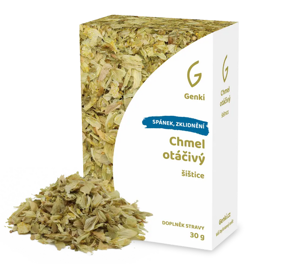 Chmel otáčivý - šištice