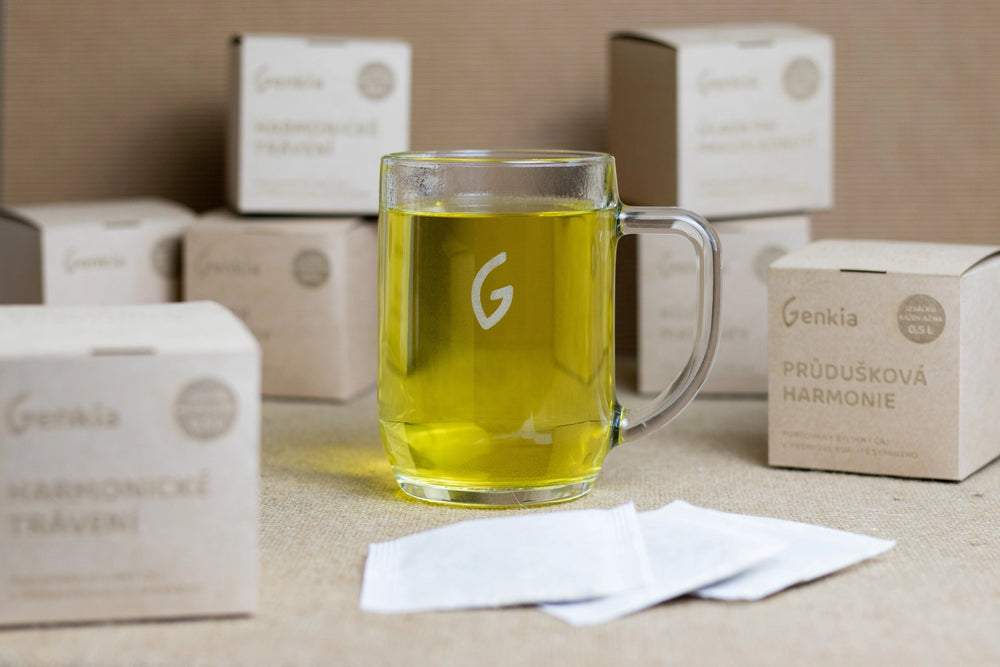 Hrnek Genkia 500 ml