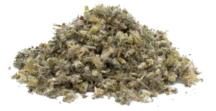 Jablečník obecný - nať