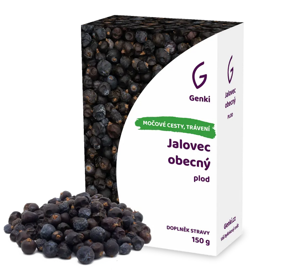 Jalovec obecný - plod