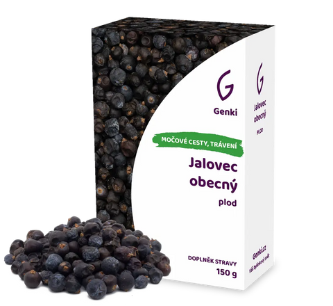 Jalovec obecný - plod