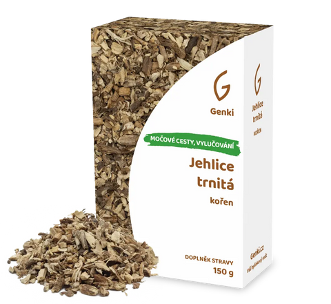 Jehlice trnitá - kořen