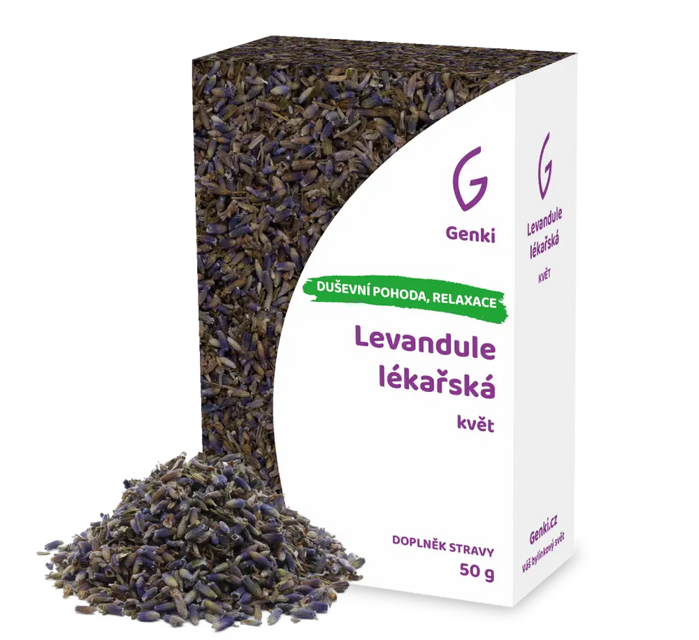 Levandule lékařská - květ