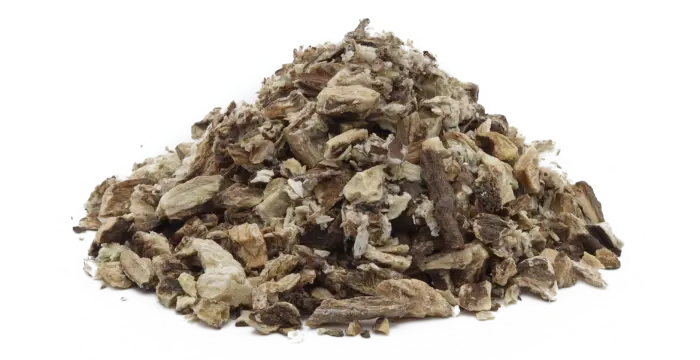 Lopuch větší - kořen