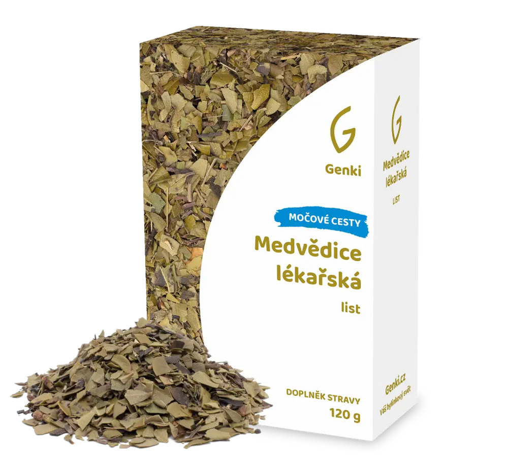 Medvědice lékářská - list