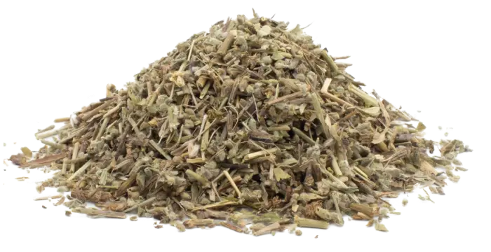 Průtržník lysý - nať