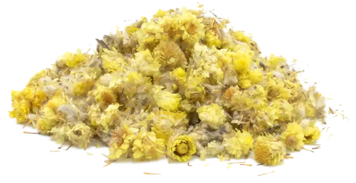 Smil písečný - květ