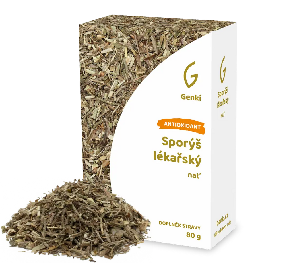 Sporýš lékařský - nať