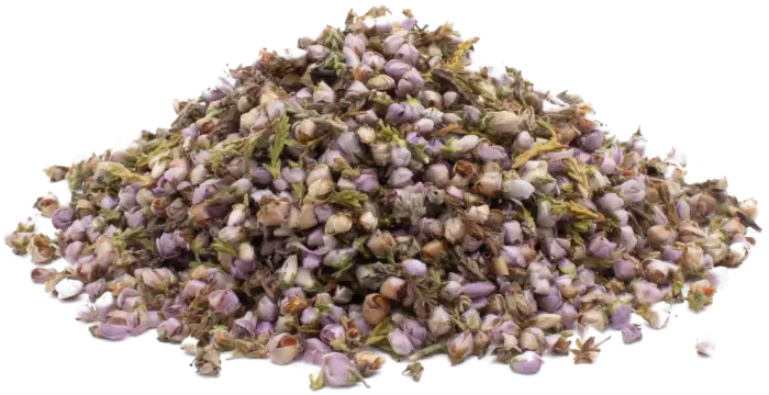 Vřes obecný - květ