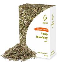 Yzop lékařský - nať