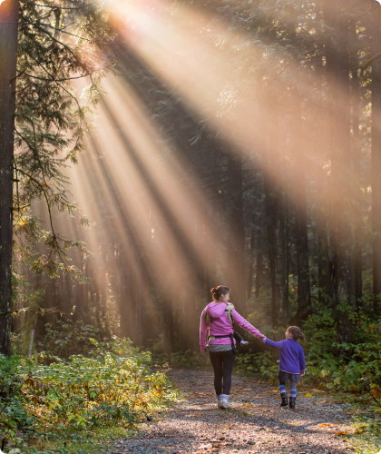 Proč jsou zdravá játra tak důležitá?