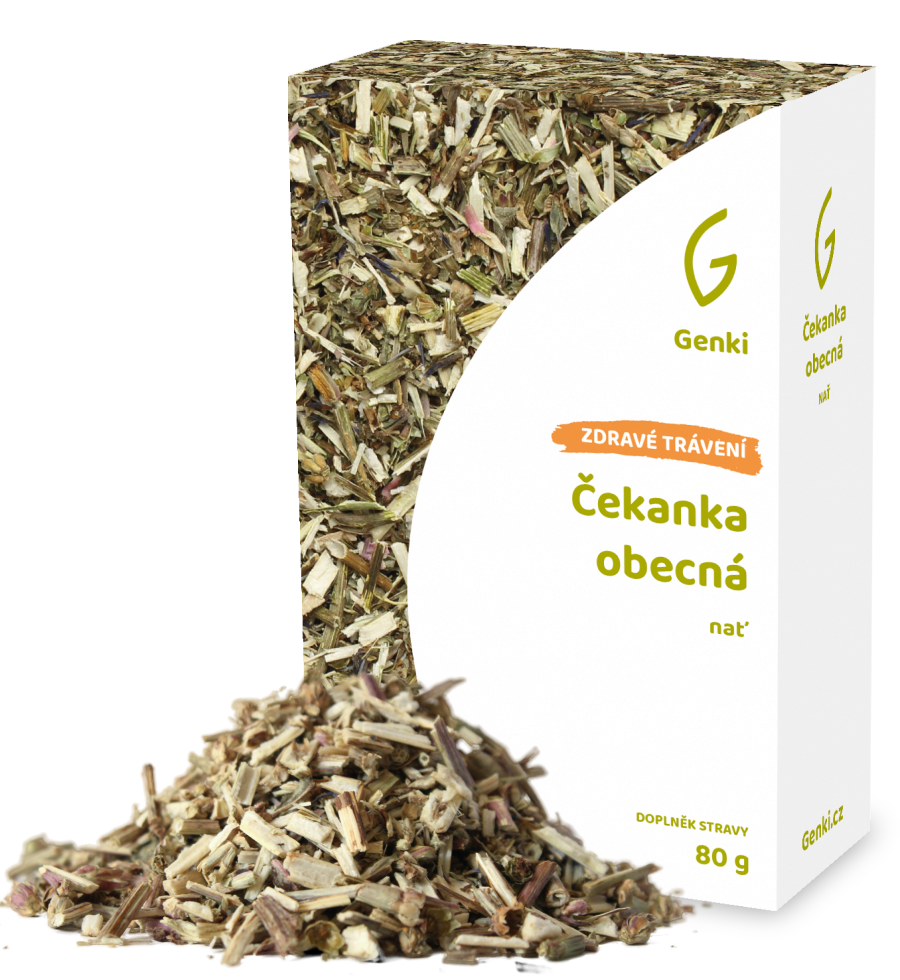 Čekanka obecná - nať