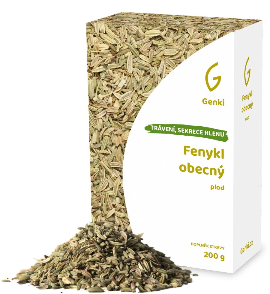 Fenykl obecný - plod