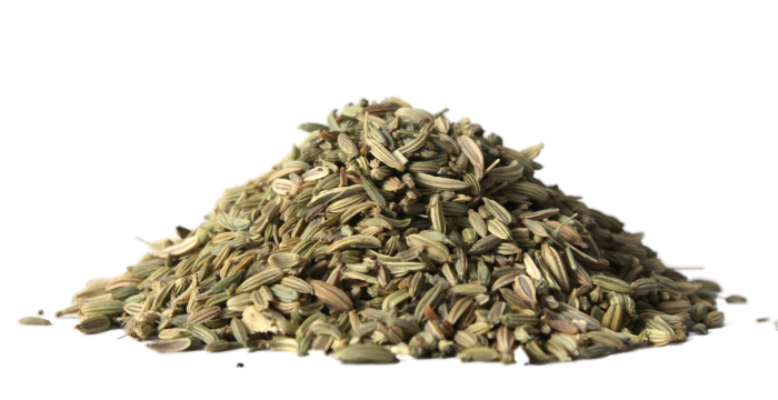 Fenykl obecný - plod