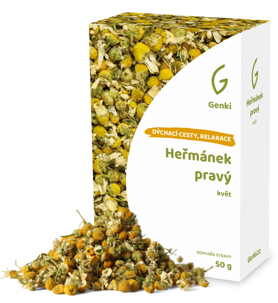 Heřmánek pravý - květ