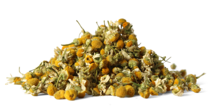 Heřmánek pravý - květ