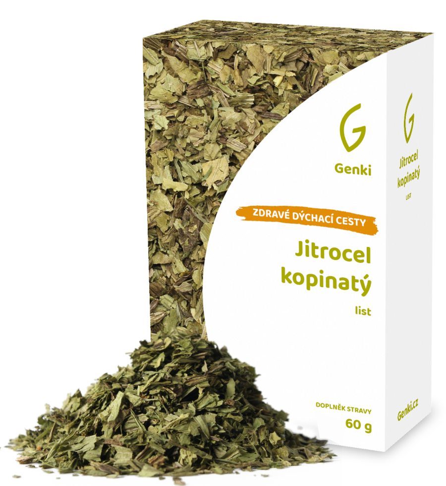 Jitrocel kopinatý - nať