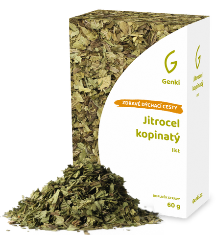 Jitrocel kopinatý - nať