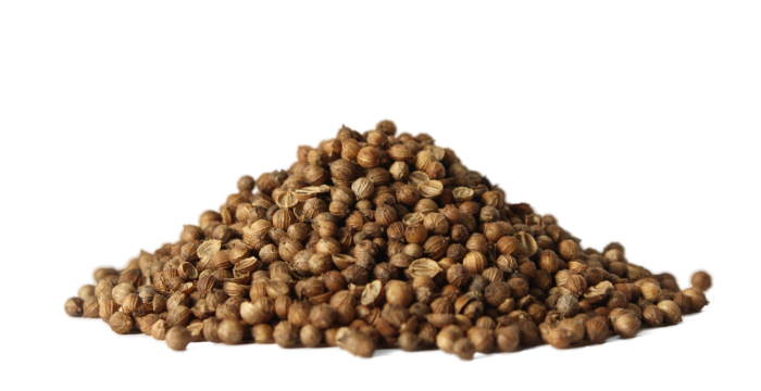 Koriandr setý - plod