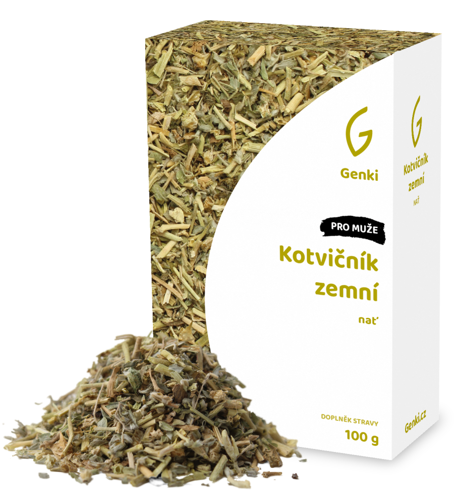 Kotvičník zemní - nať