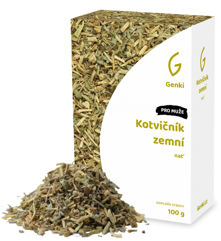 Kotvičník zemní - nať