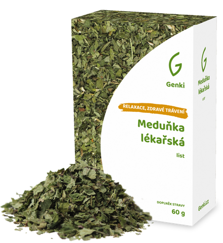 Meduňka lékařská - list