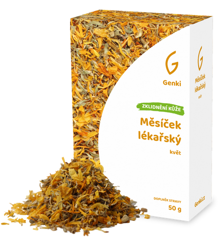 Měsíček lékařský - květ