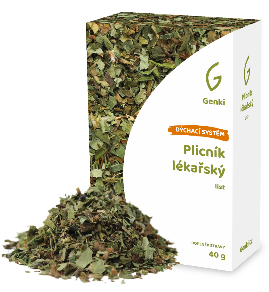 Plicník lékařský - list