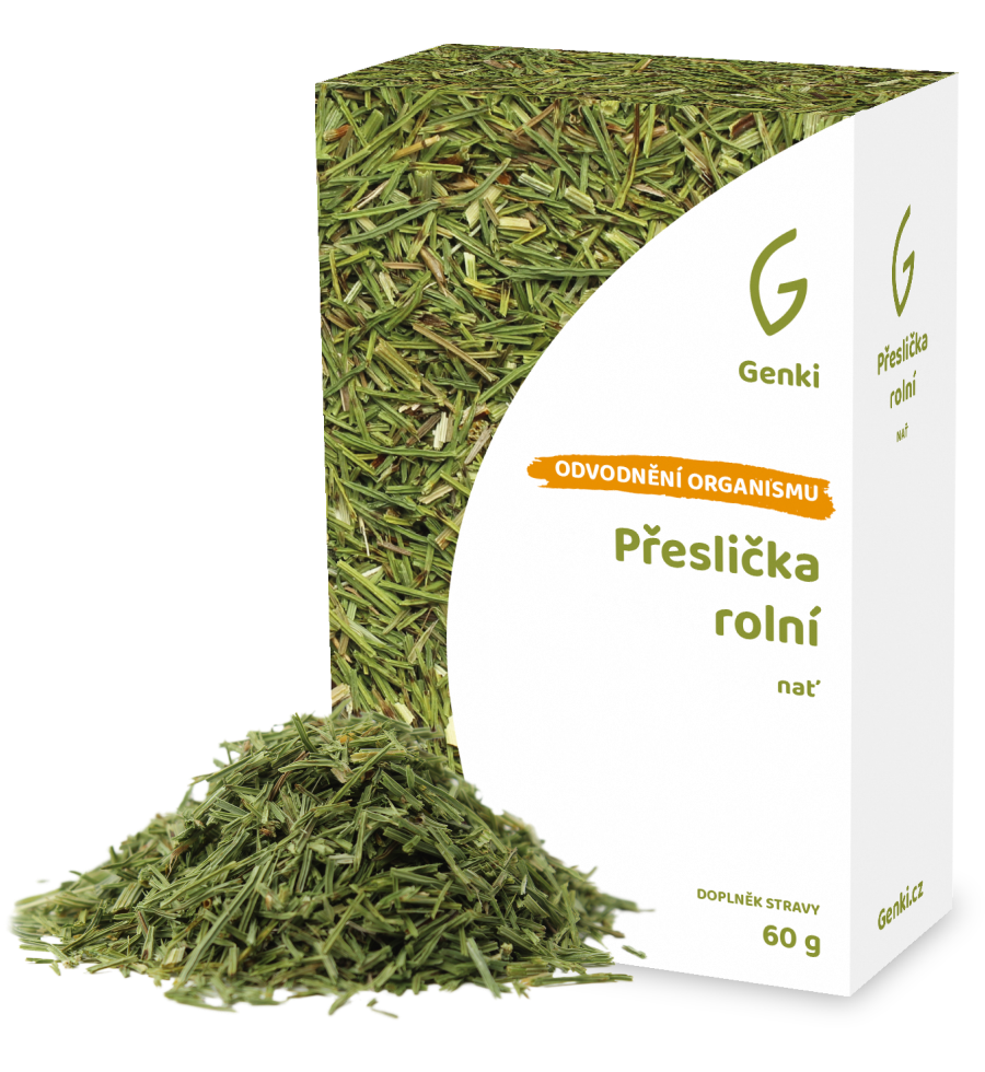 Přeslička rolní - nať