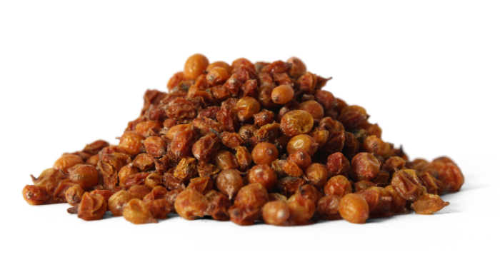 Rakytník řešetlákový - plod