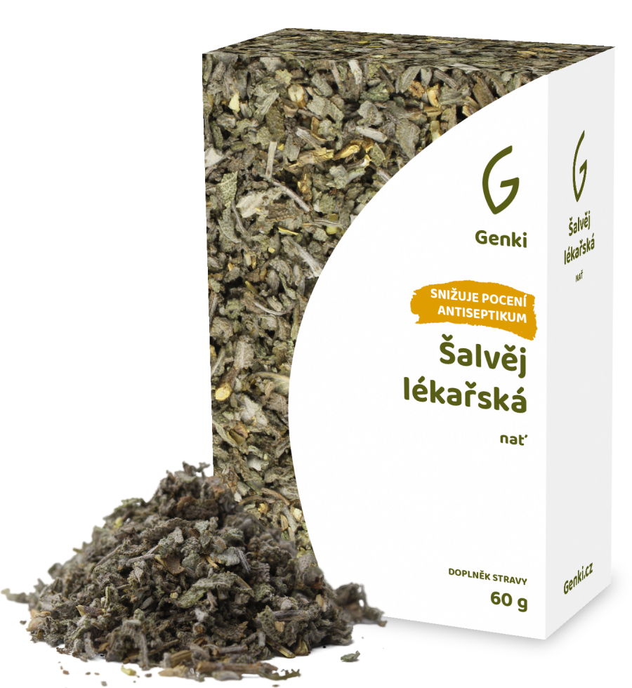 Šalvěj lékařská - nať