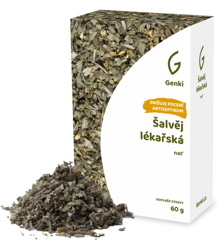 Šalvěj lékařská - nať