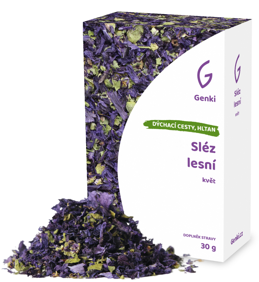 Sléz lesní - květ