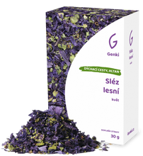 Sléz lesní - květ