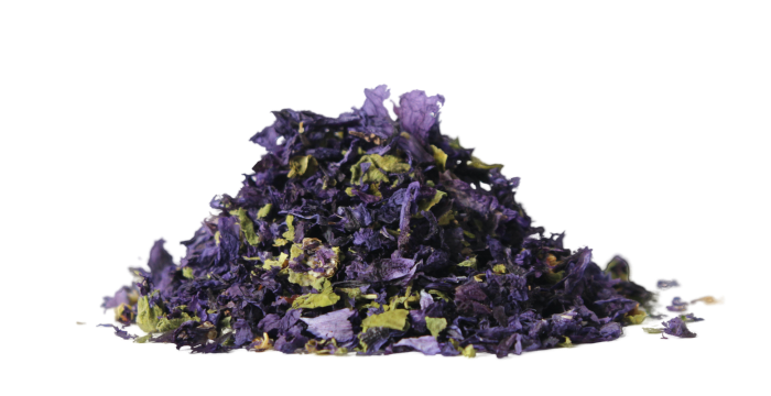 Sléz lesní - květ