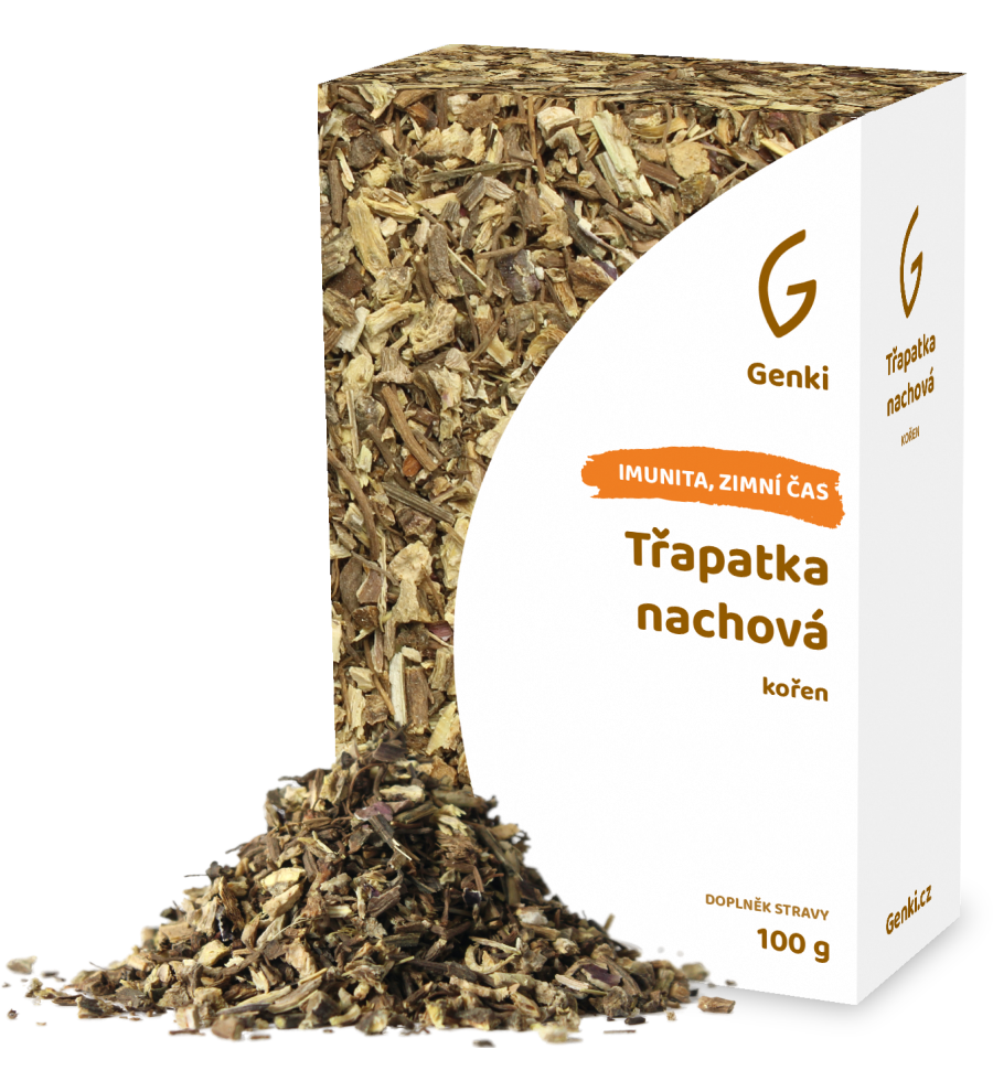Třapatka nachová (Echinacea) - kořen