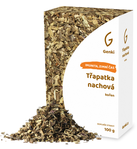 Třapatka nachová (Echinacea) - kořen